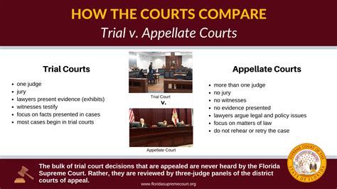 court of appeals case status inquiry system|Minister Meth welcomes Supreme Court of Appeal judgment .
